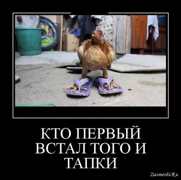 Впервые встала. Впервые встала