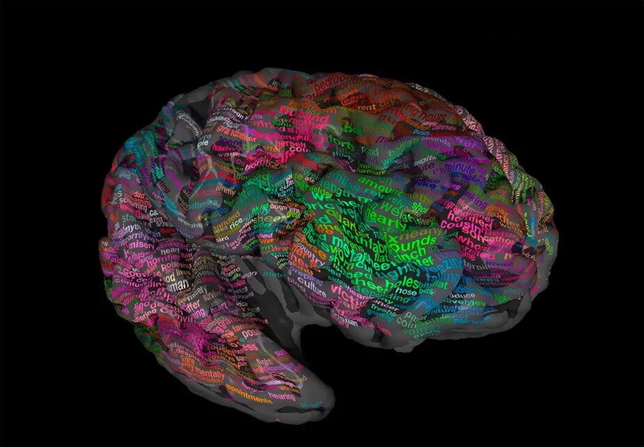 Brain карта. Картирование мозга. Картирование человеческого мозга. Нейробиологическая карта мозга. Подробная карта мозга.