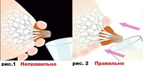 Правильно сцедить молоко руками видео
