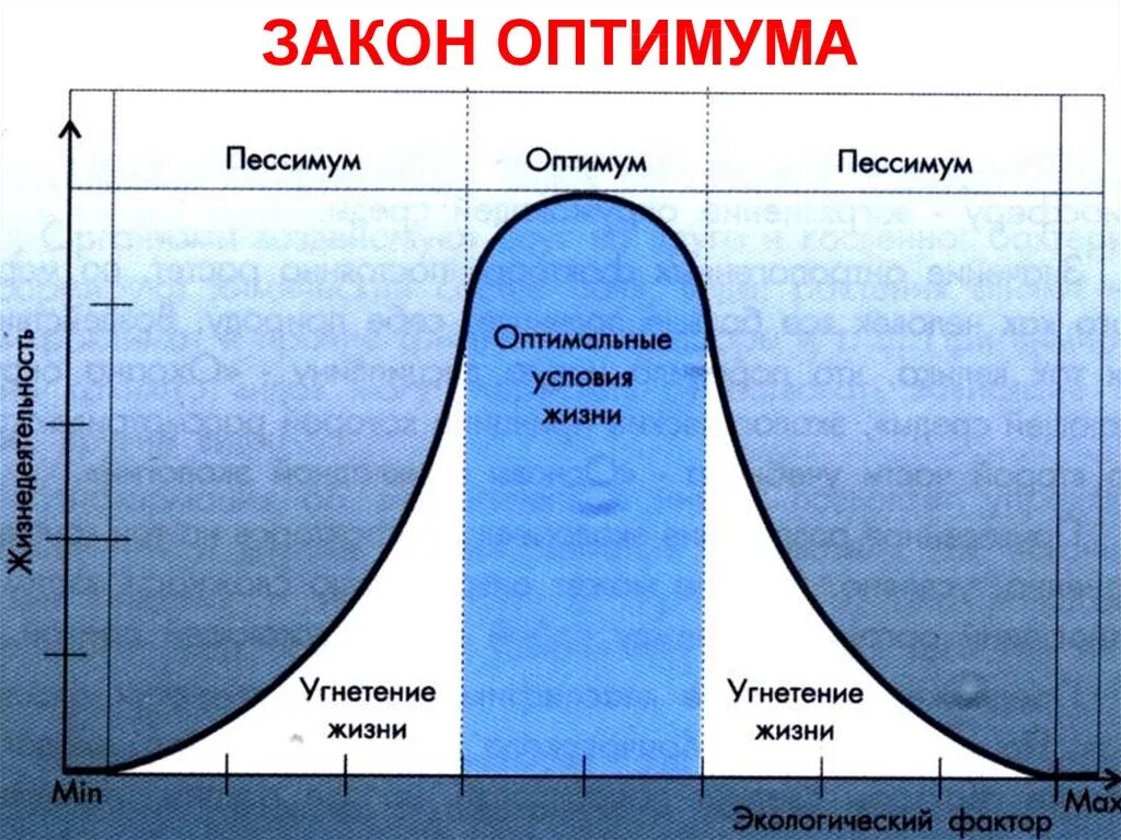 Закон оптимума. Экологические факторы Оптимум. Зона экологического оптимума. Оптимум и пессимум. Закон оптимума это