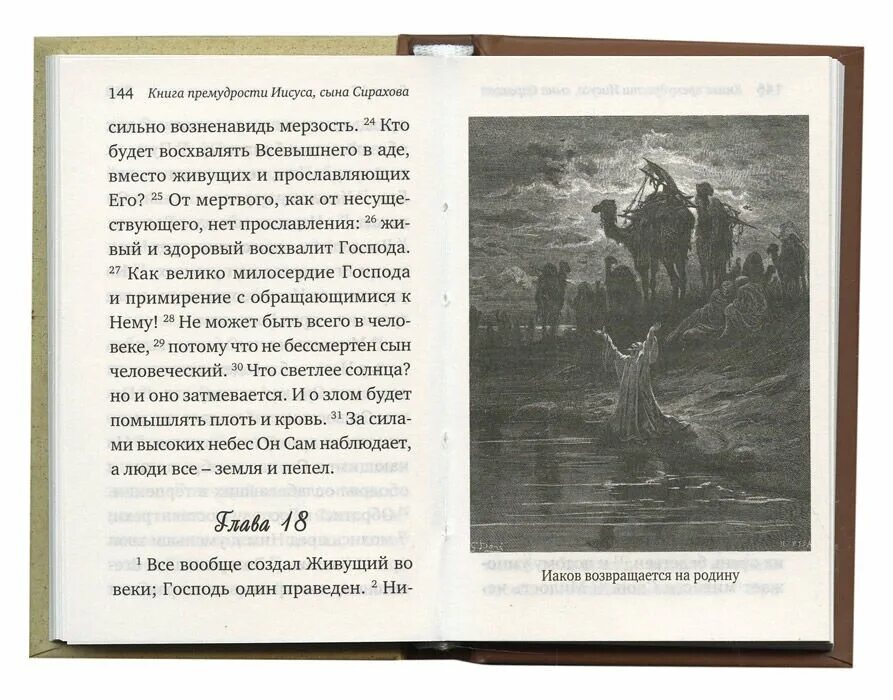 Иисус сын сирахов читать. Книга иисуса сына сирахова. книга премудрости соломона книга. книга премудрости иисуса, сына сирахова книга. премудрость соломона.