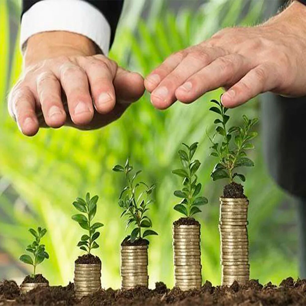 экологические технологии. инвестирование в зеленую экономику. инвестиционное дерево. привлечение инвестиций в стартап. умный город.
