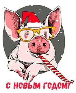 Свинка 2024