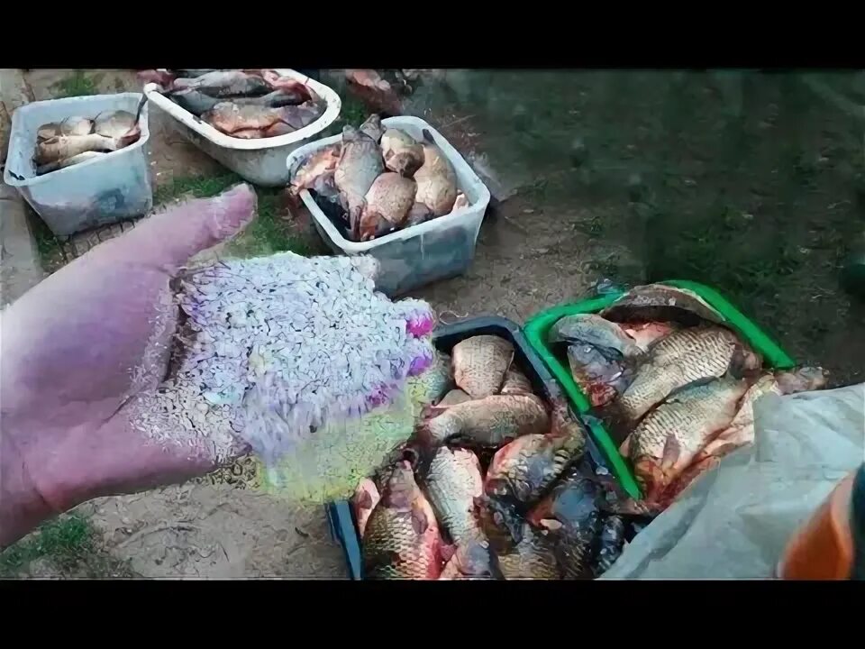 Приманка для рыбы своими How to Make Crab & Fish Trap By Electric Fan cooking Crab Crawfish traps, Crab