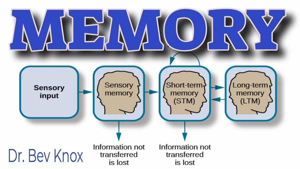 Short memory. Long term Memory. What is the long term Memory. Long term Memory картинки. Long short term Memory.