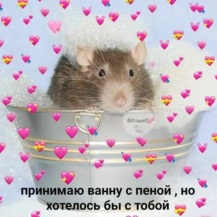 Мокрая как мышь почему