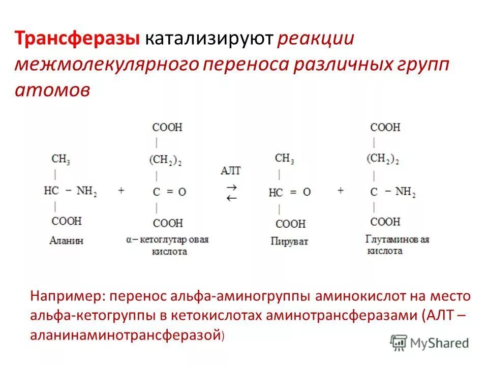 Какой фермент катализирует реакцию