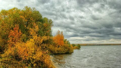 Осень берег реки