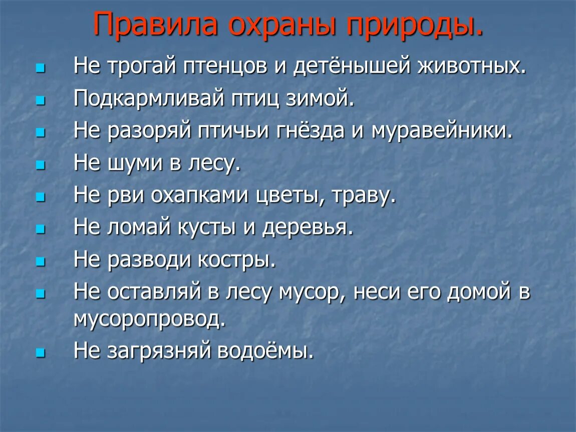 Охранять в будущем времени. Прпвилаохраны природы. Правила по охране природы. Правило охраны природы. Правила охраны животных.