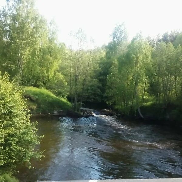 Файл:Viun river.jpg - Википедия