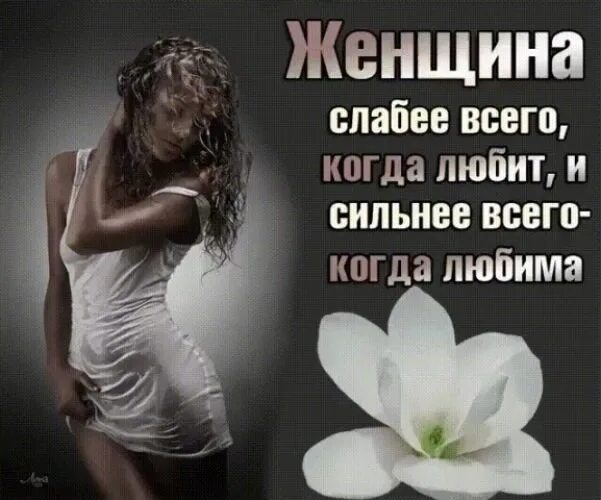 3 дня на все сильнее всех