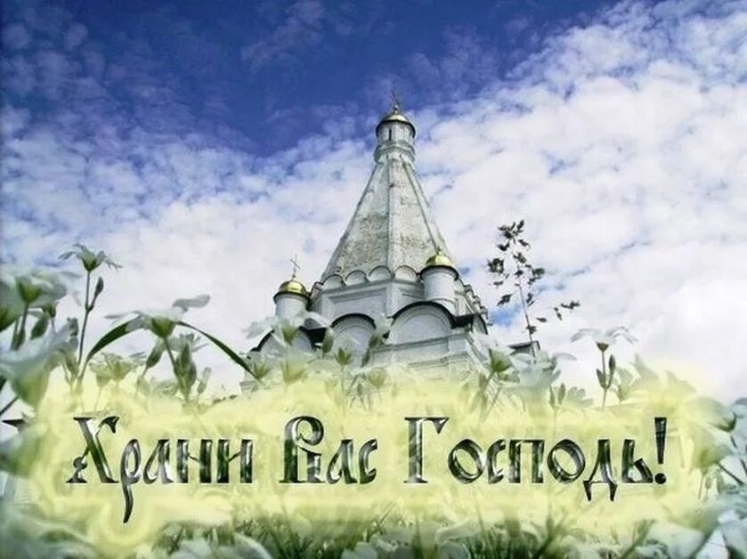 Благодарю вас господа