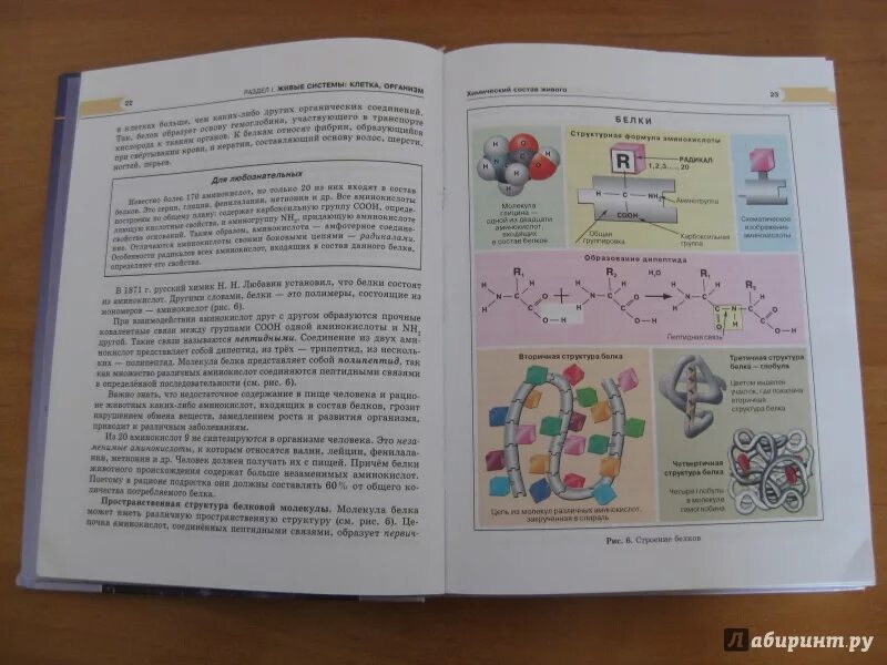 Биология 9 класс учебник 2022. Биология 9 кл Ефимова Шубин Сухорукова. Биология. 9 Класс. Учебник. Учебники по биологии Ефимова. Учебник по биологии 9 класс Ефимова.