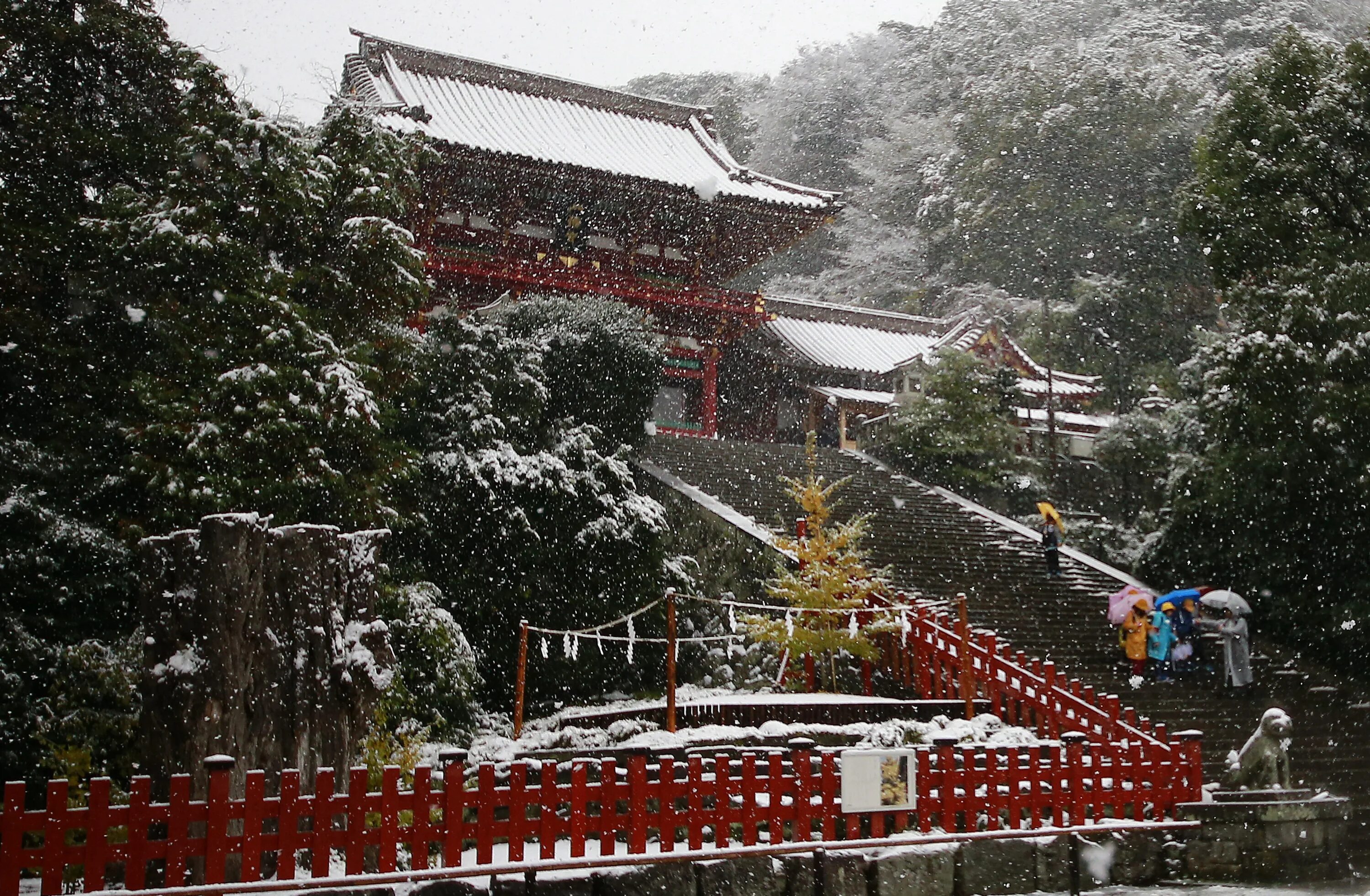 Святилище Цуругаока Хатимангу. Новый год в Японии. Новогодняя Япония. Япония зимой. Ли зима в этом году