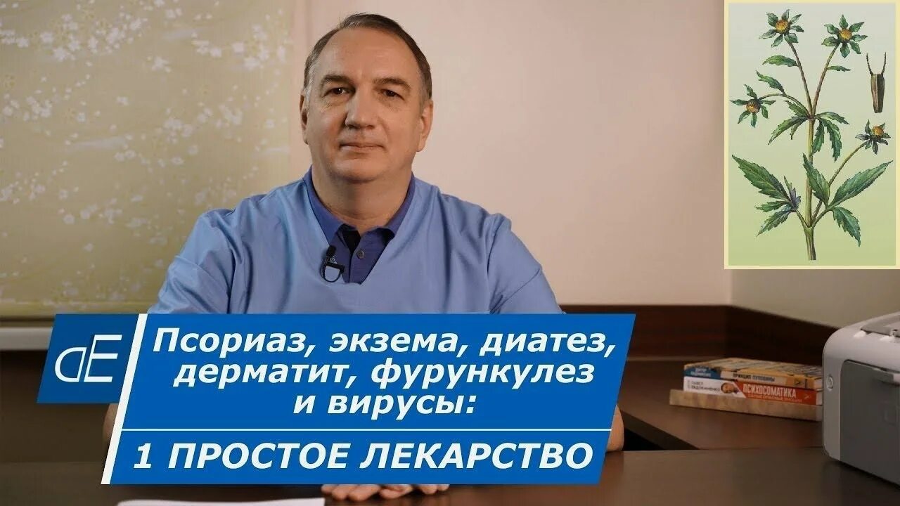 Доктор Евдокименко. Доктор Евдокименко экзема. Доктор Евдокименко аллергия у детей. Доктор Евдокименко фото. Доктор евдокименко панкреатит