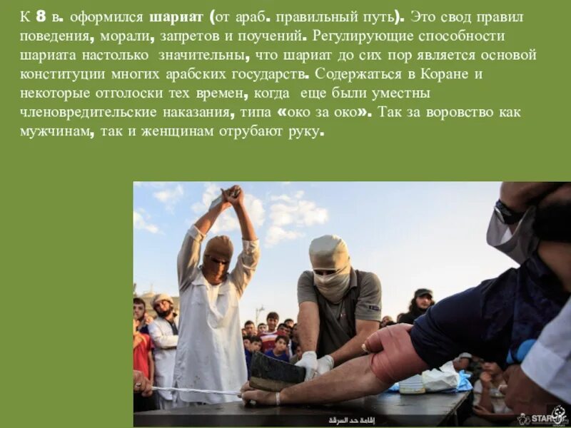 Шариатом является. Шариатом является