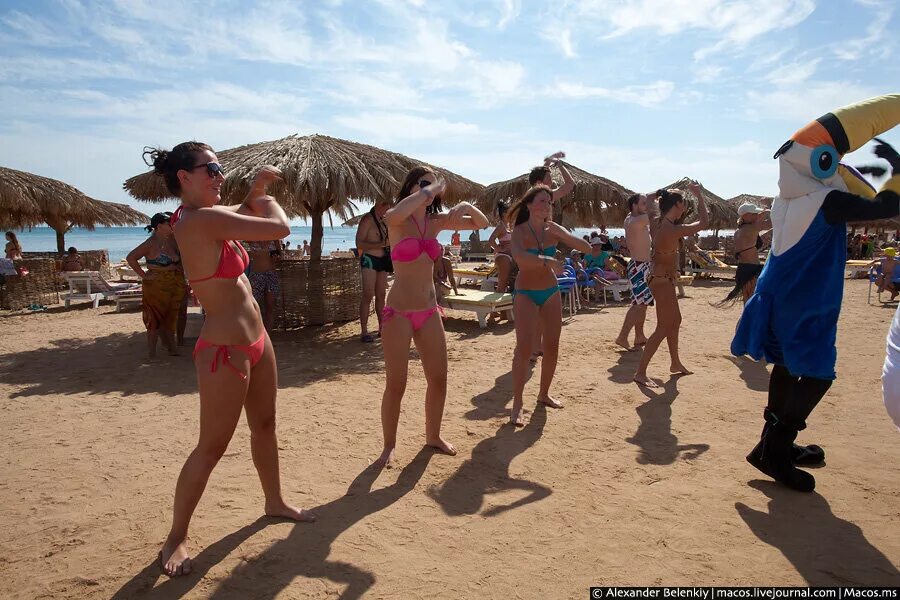 Сколько брать с собой в египет. Русские в Египте. Египет туристы на пляже. Египет люди на пляже. Египетские девушки на пляже.
