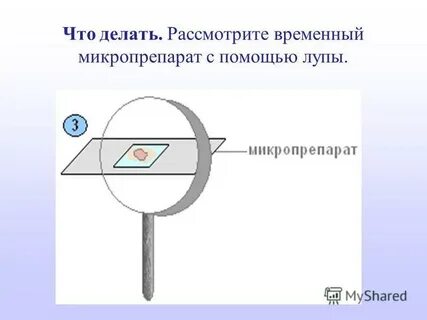 Рассмотрите с помощью лупы