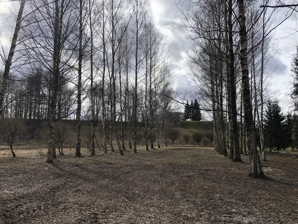 В Великих Луках до конца года обустроят Петровский парк с бюстом Петра I и Яблон
