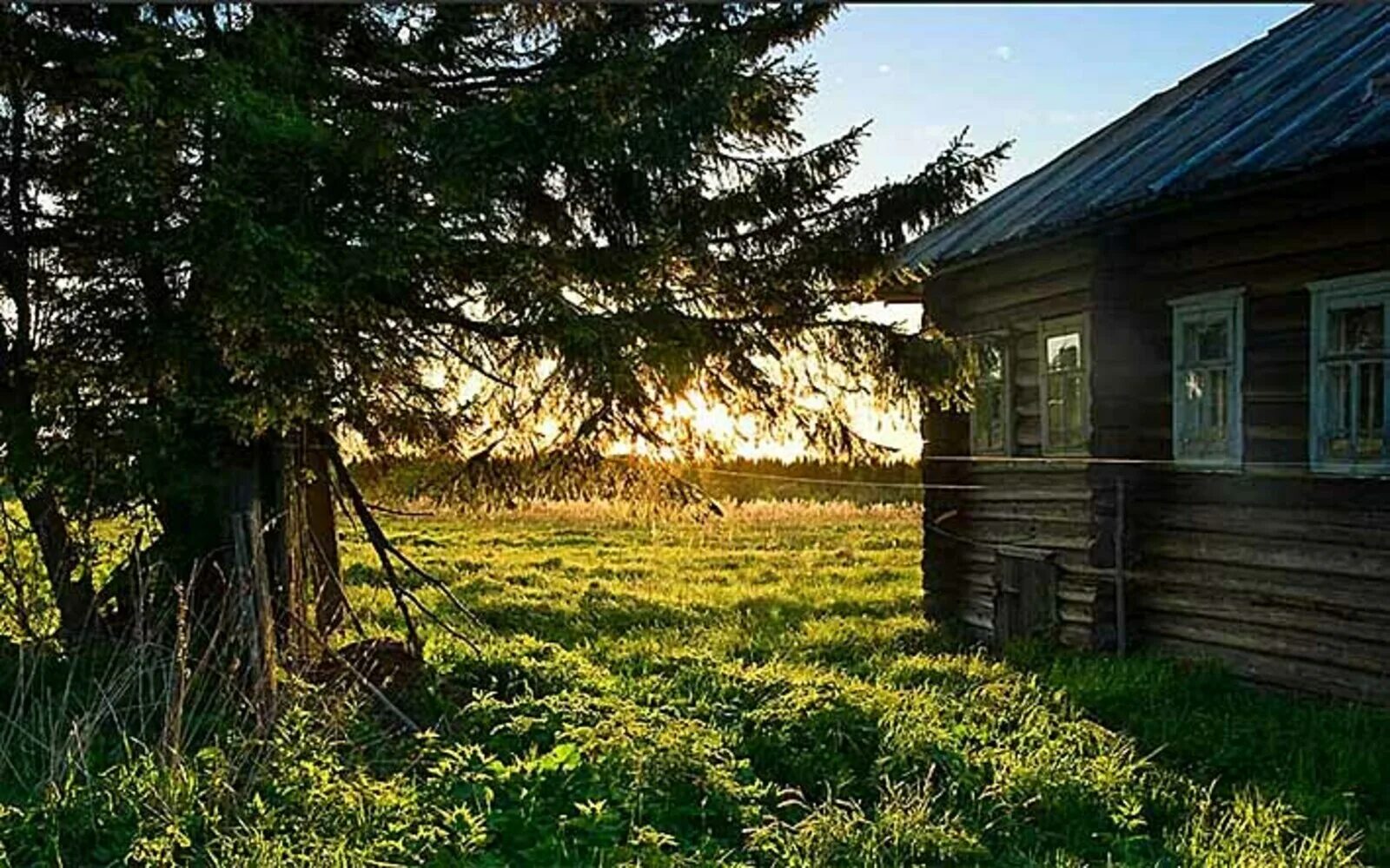 Природа деревня. Деревенский домик. Деревенский домик летом. Лето в деревне. Владение в селе