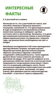 Благодарность комнатным растениям