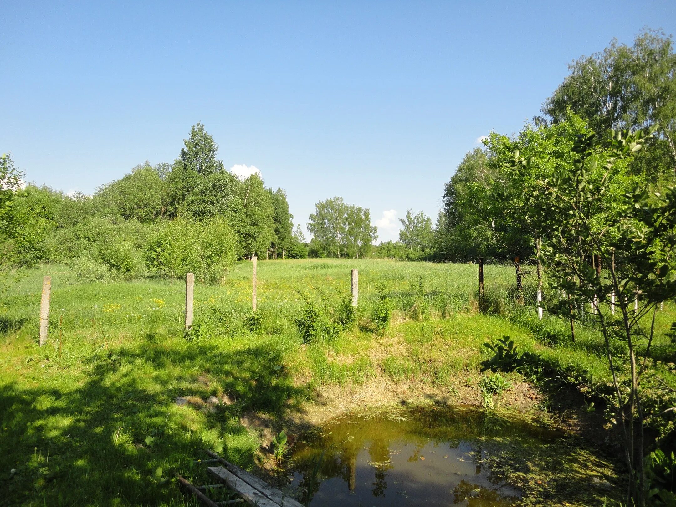 Новосельцы (козинское сельское поселение). Продаж участок смоленского. Нагать (деревня). Купники смоленский район. Быльники участок фото.