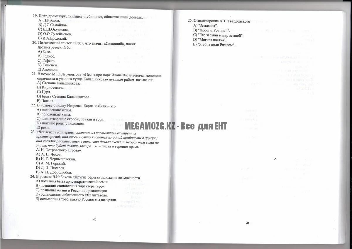 проверочная работа литература дубровский