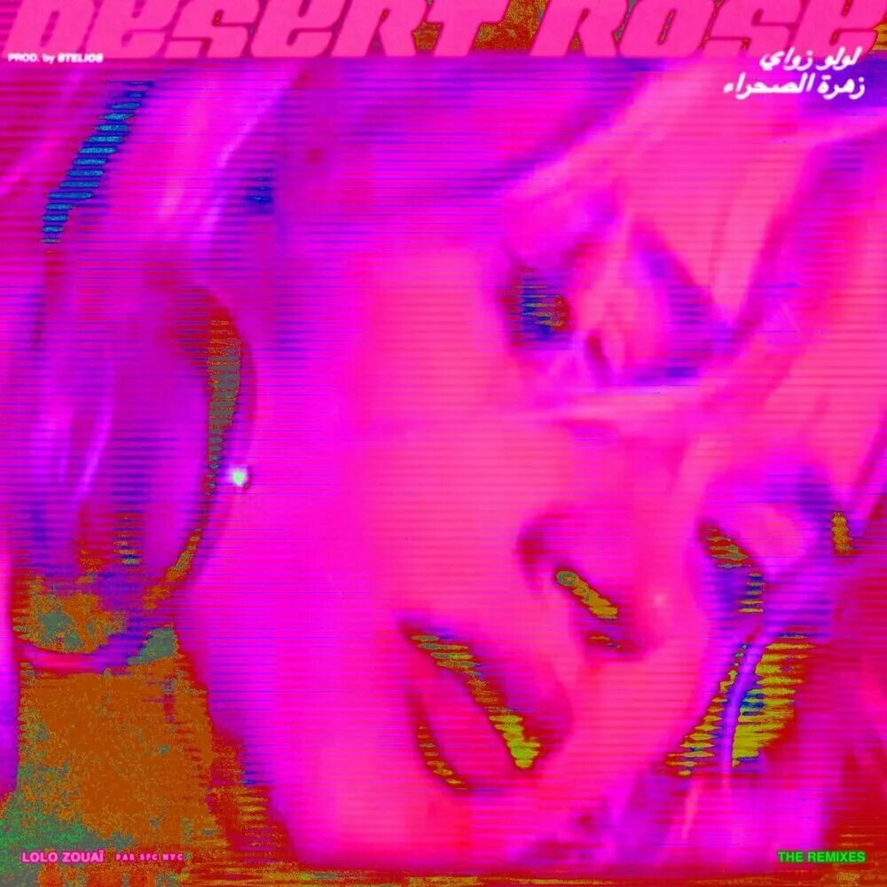 Lolo Zouai Desert Rose - Slowed + Reverb (Low Lows. Desert Rose Renegade. Desert Rose Remix. Desert Rose клип. Lolo zouaï desert