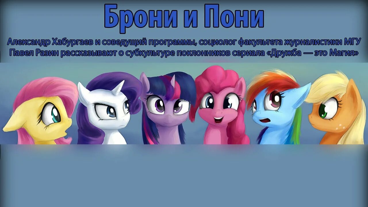 Кто такие брони. Брони пони. Кто такой брони. Брони субкультура. Brony пони.