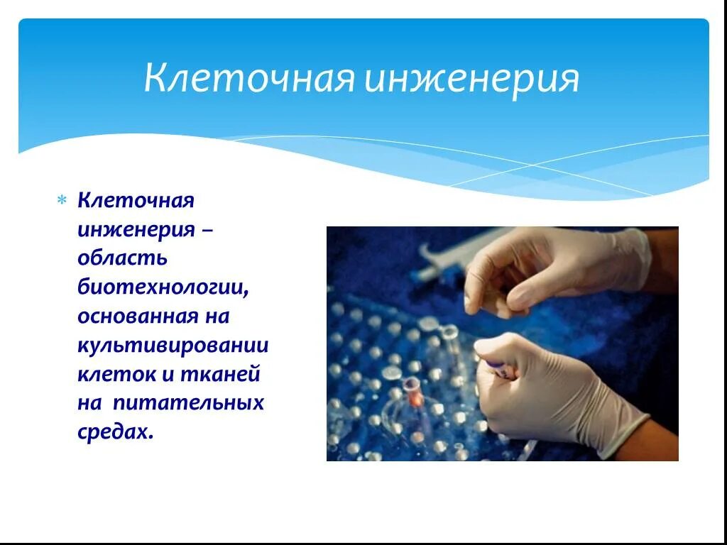 Клеточная инженерия. Неклеточная инженерия. Биотехнология генная инженерия клеточная инженерия. Технологии клеточной инженерии.