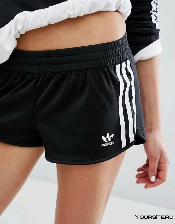 Скажи шорты. Шорты adidas Originals shorts. Aq2002 adidas шорты. Шорты adidas Originals TKO shorts. Adidas Tyshawn шорты.