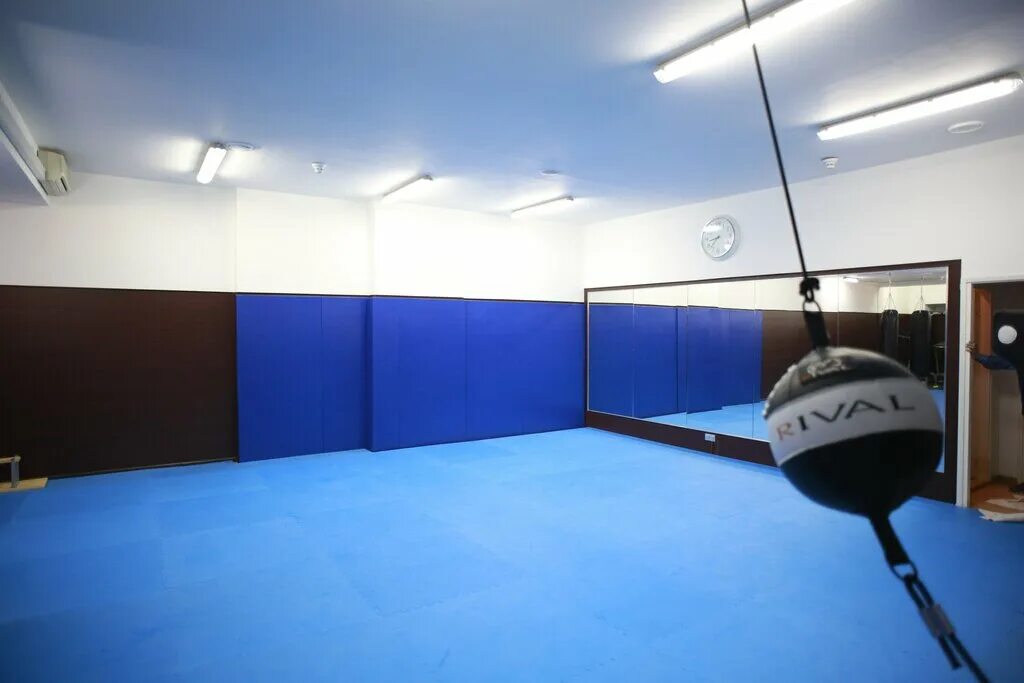 бокс дома. турнир никонорова по боксу. зал единоборств. Boxing action. боксерские залы.