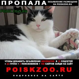 Ушла рожать