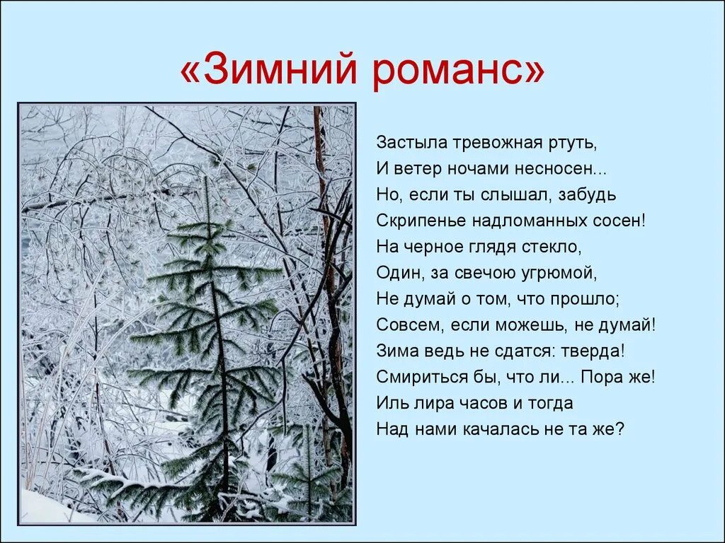 Природа поэзии 19 века. Стихи поэтов о зиме. Стихи о природе русских поэтов. Стихотворение писателей 19 века. Стихотворение русских поэтов 19 века о зиме.