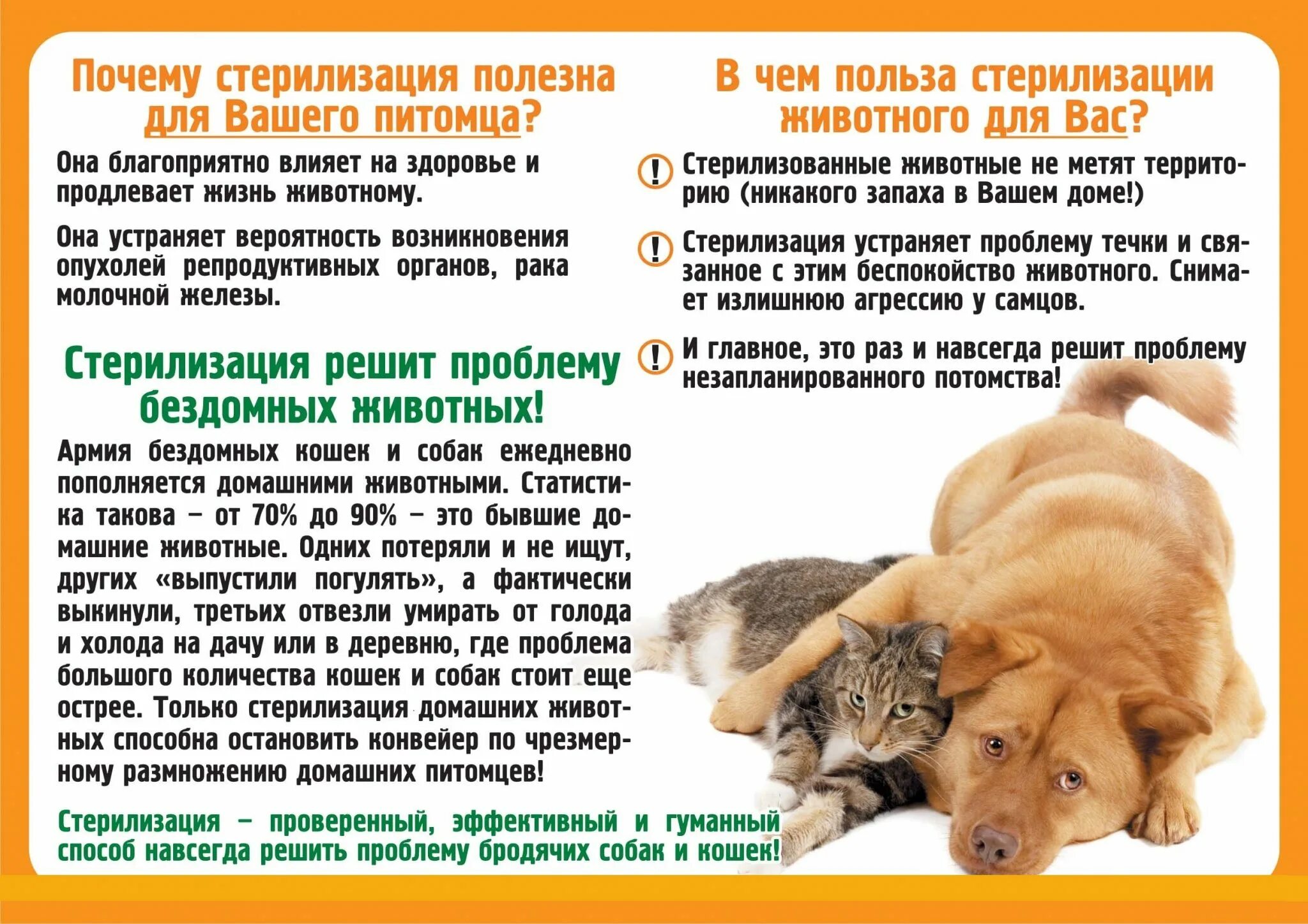 Программа помощи животного