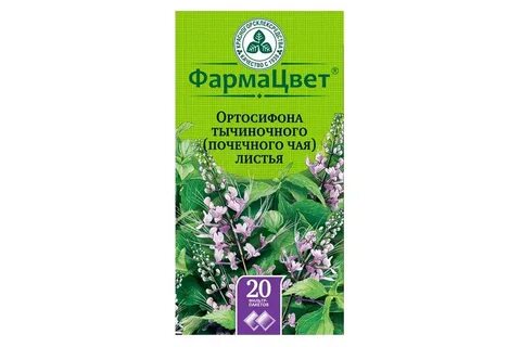 Почечный чай листья ортосифона