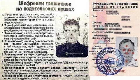 Отмечают на правах