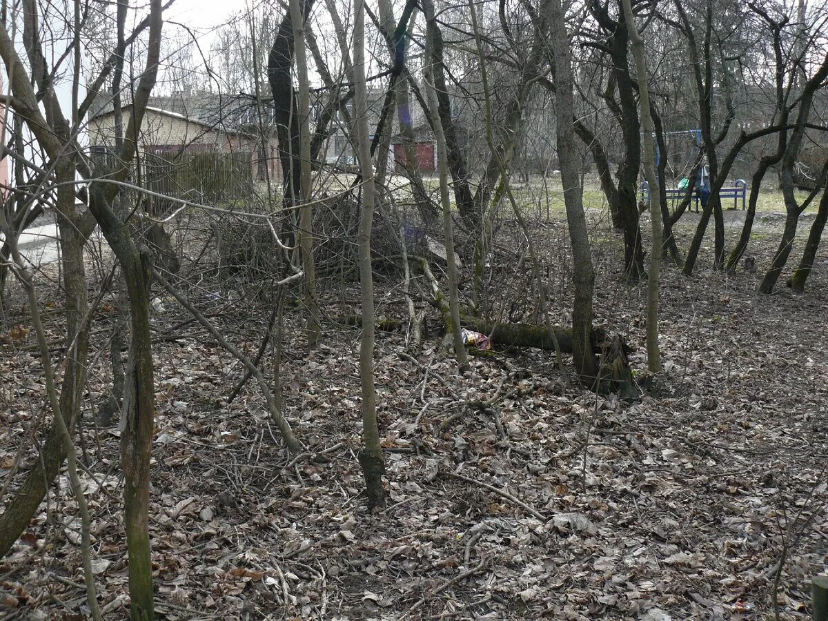 Городок смоленск. Городок Коминтерна Смоленск. Городок Коминтерна Смоленск история. Городок Коминтерна 12а Смоленск. Небанальный Смоленск городок Коминтерна.