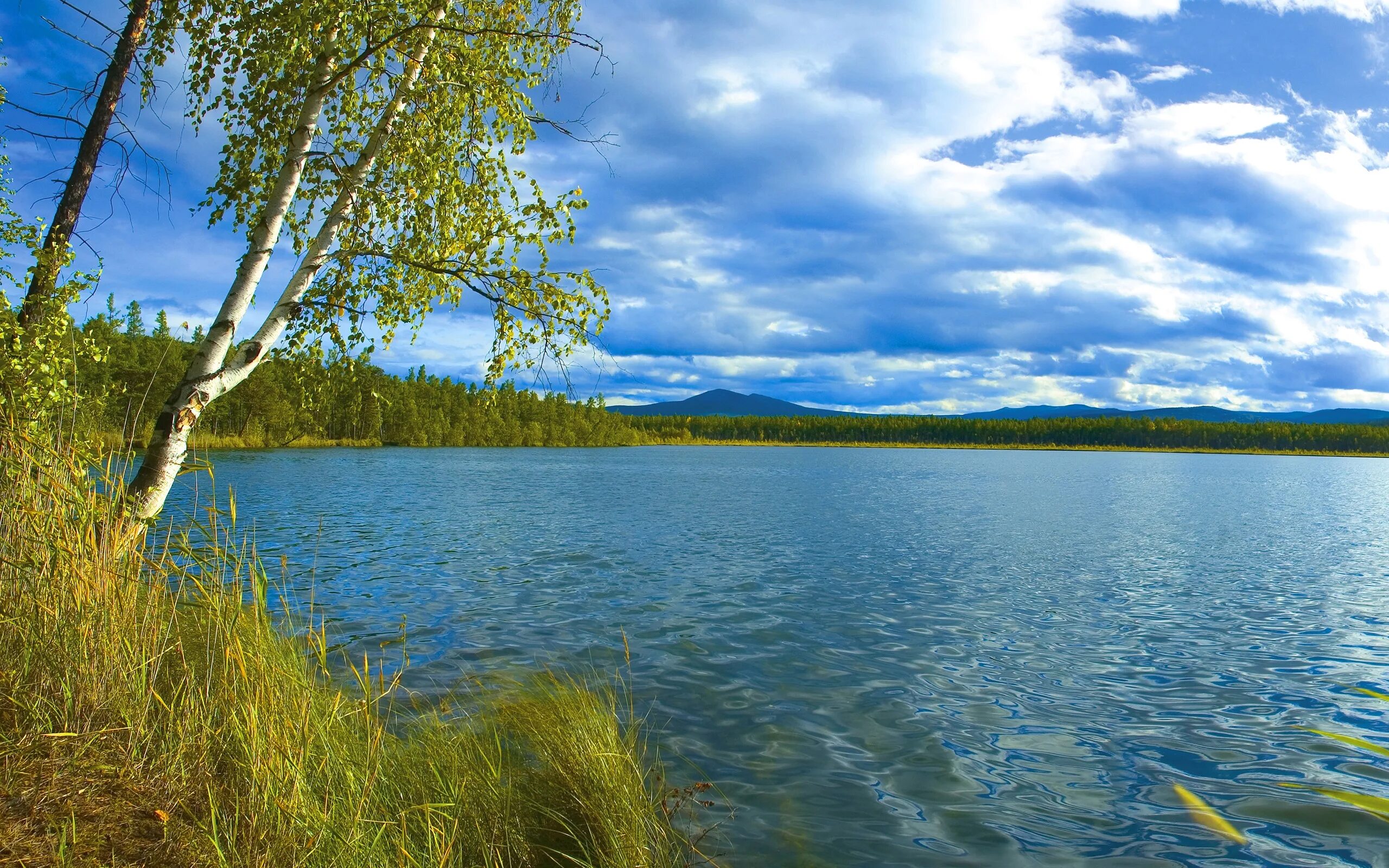 Осиновое озеро Ульяновск. Озеро Березовое Уфа. Озеро зеркальное Назаровский район. Озеро Березовое Березово.