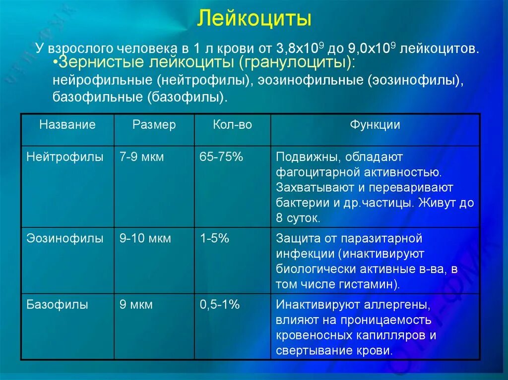 Лейкоциты 4 5 в крови