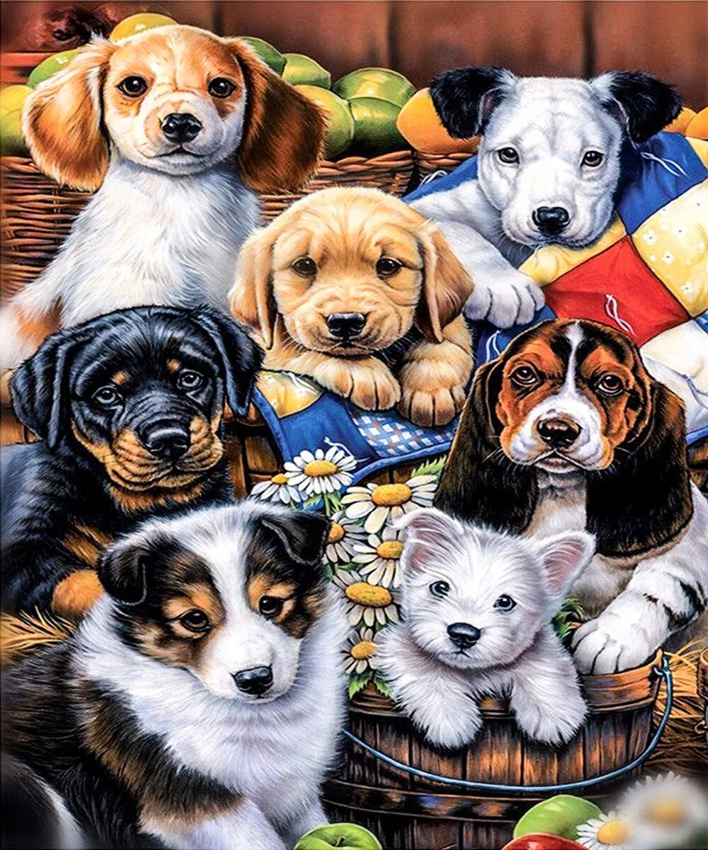 Найди щеночков. Множество животных. Картины с животными. Красивые собаки. Разные домашние животные.
