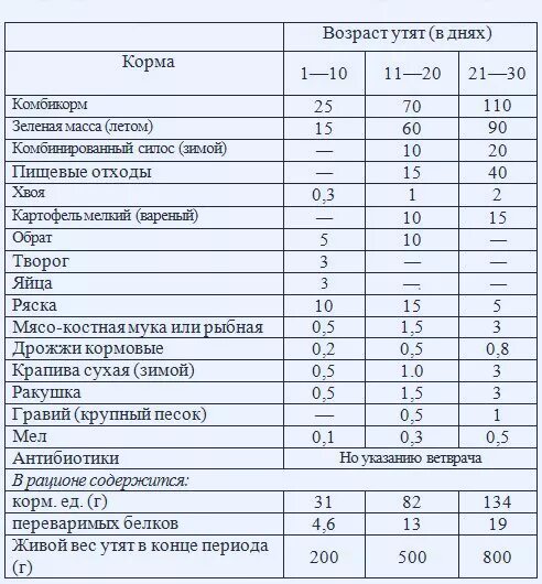 Таблица привеса мускусных уток. Нормы кормления гусей таблица. Чем можно кормить маленьких утят. Таблица кормления уток мулардов. Рацион кормления утят суточных.