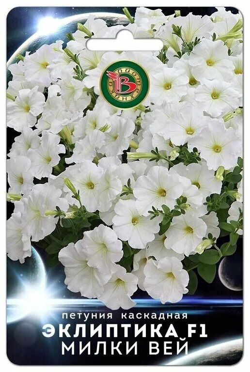 петуния каскадная эклиптика f1. петуния каскадная эклиптика f1. петуния эклиптика f1 парпл гэлакси биотехника ц. петуния каскадная эклиптика f1. петуния каскадная эклиптика f1.