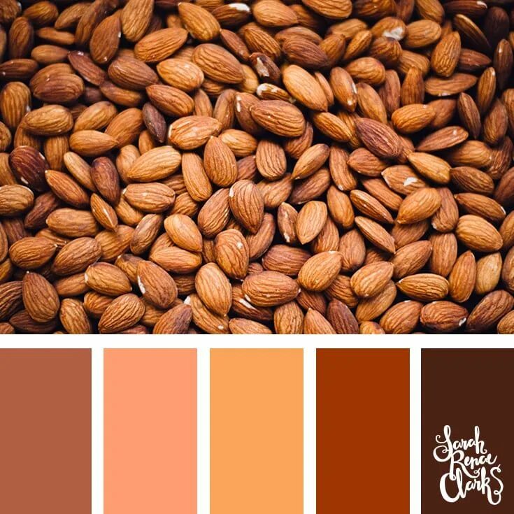 Грецкий орех миндаль фундук. Арахис фисташки миндаль. Кофейный цвет сочетание с другими цветами. Карамельный цвет палитра цветов. Миндальный цвет палитра.