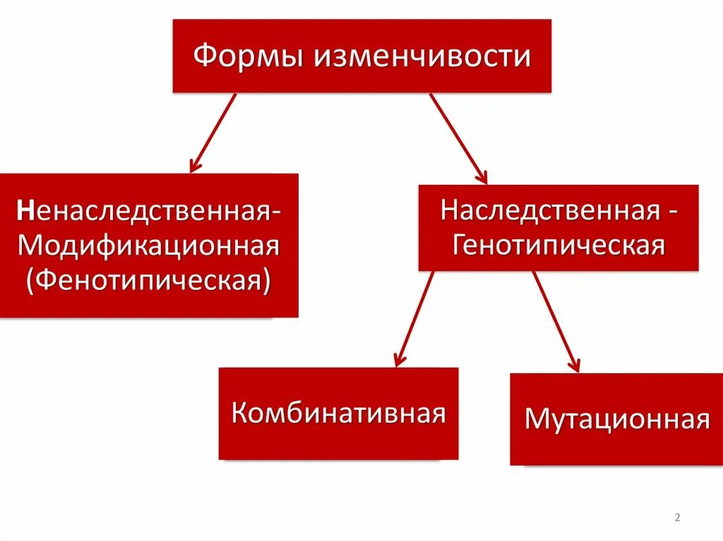 Формы ненаследственной изменчивости. Основные формы изменчивости генотипическая изменчивость. Ненаследственная изменчивость формы изменчивости. Основные формы наследственной изменчивости. Существует наследственная изменчивость