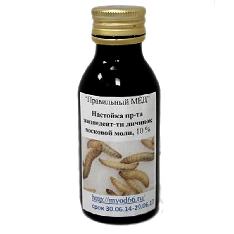 настойка личинок восковой моли. настойка пжвм. настойка моли. огневка настойка восковой моли. экстракт восковой моли.
