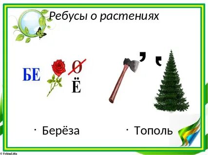 Ребус растение