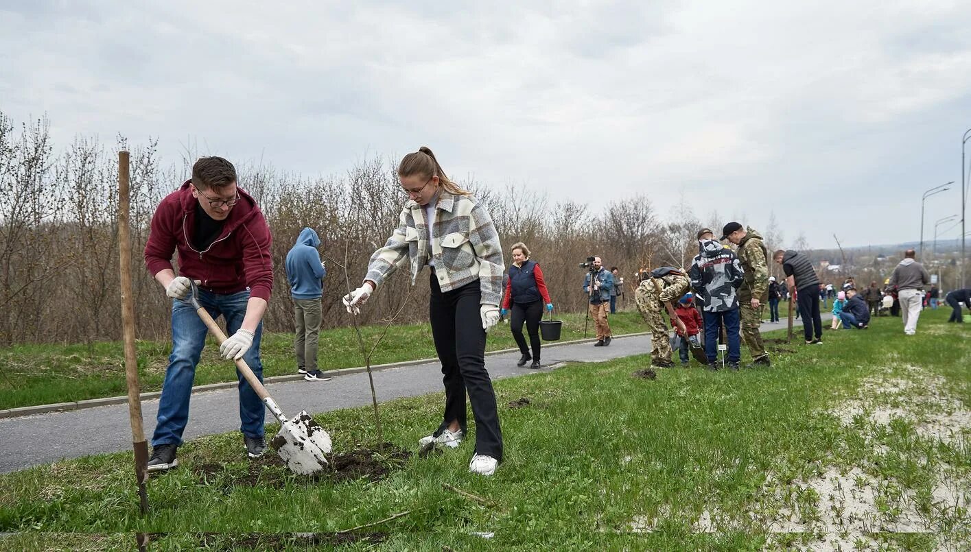 Курск клининговые. Субботник 2022 Курск. Курск аллея подводников аллея. Субботник посадка деревьев. Первый субботник.