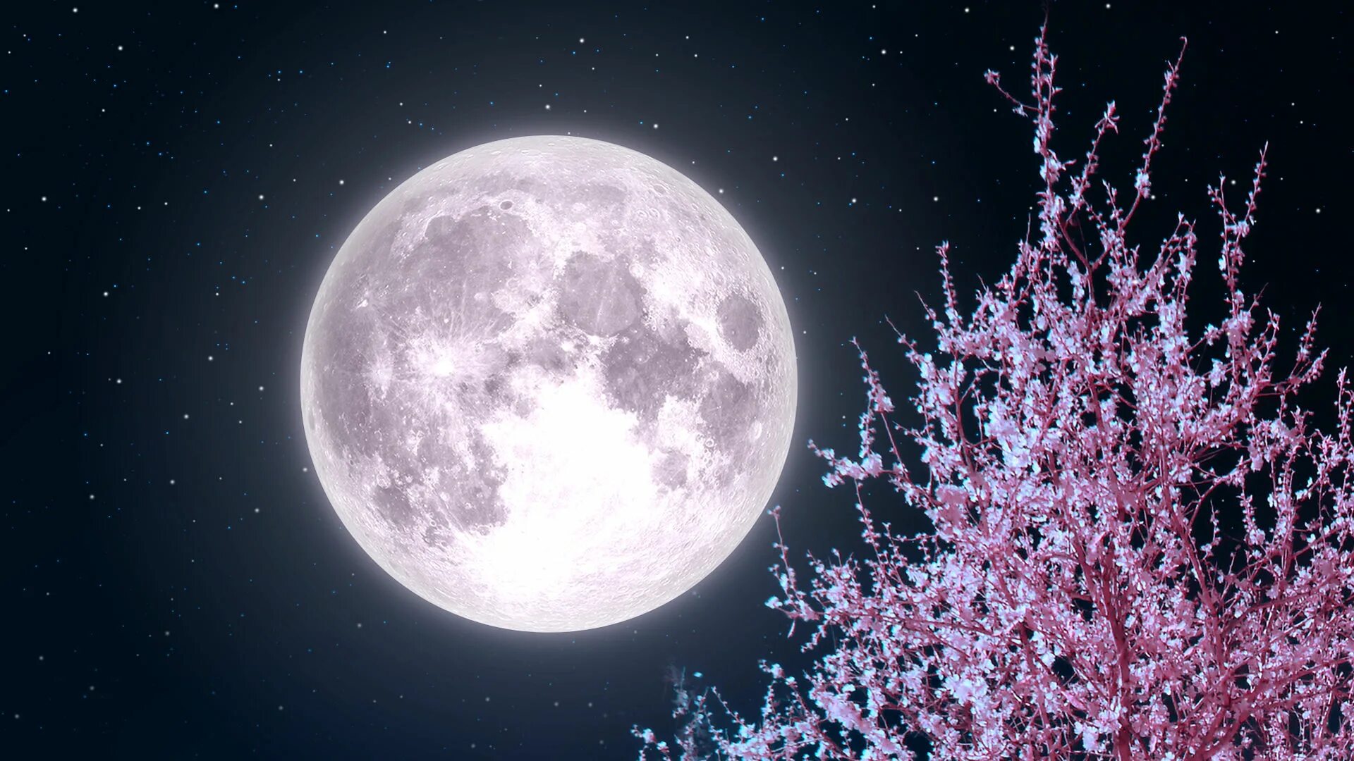 Картинки moon. Полнолуние. Яркая Луна. Полная Луна. Фото Луны.