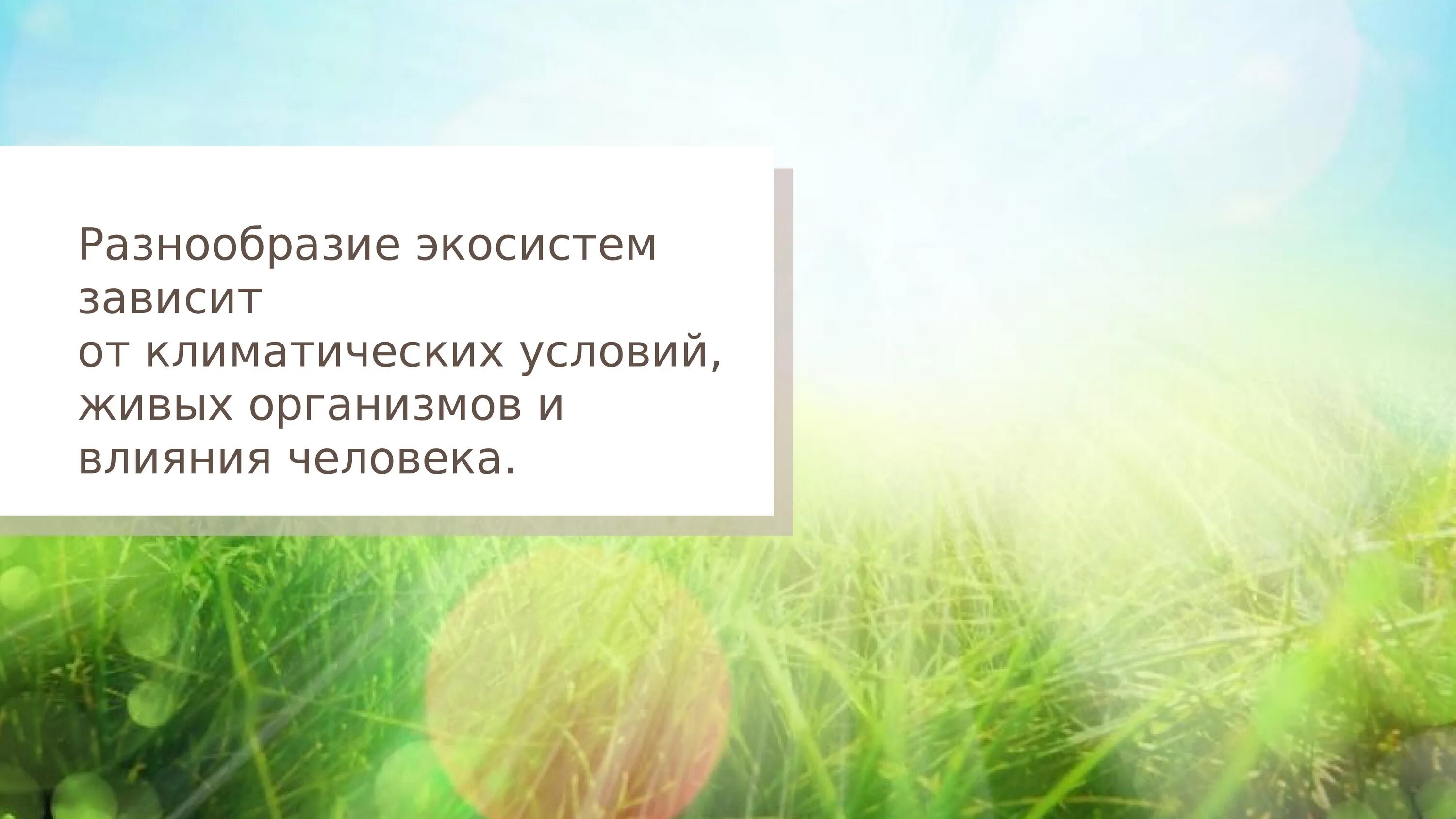 Организация экосистем презентация 9 класс. Разнообразие экосистем. Искусственные экосистемы. Разнообразие искусственных экосистем. Экосистема слайд.